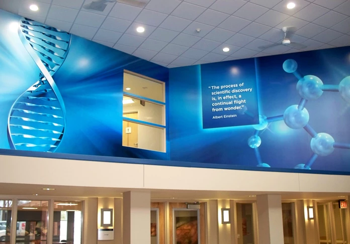 Ceiling Graphics & Displays in Plymouth