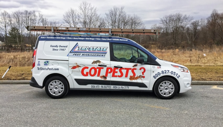 Vehicle Lettering | Signs Now