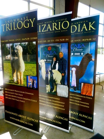 Banner Stands in American Fork