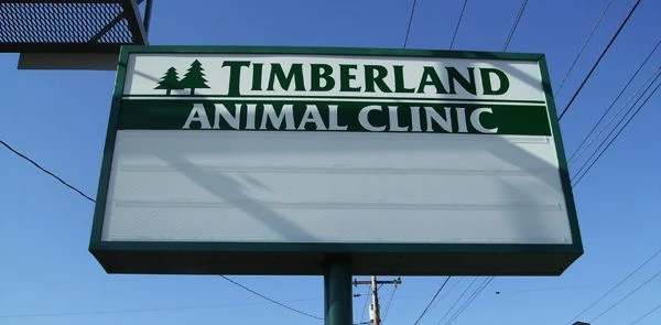 Lightbox Signs in Anchorage