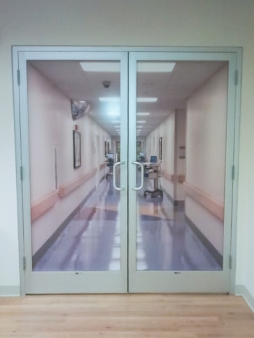 Digital Vinyl Graphics