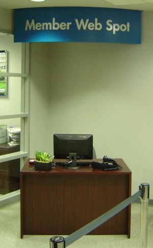 Digital Vinyl Graphics