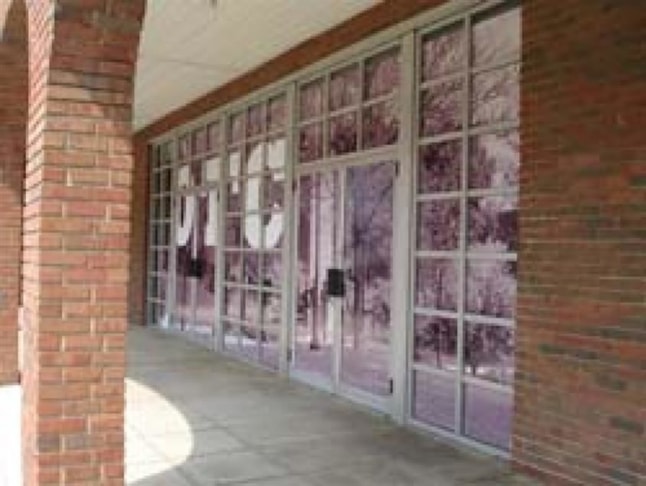 Window Graphics