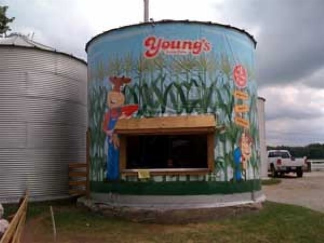 Wall Murals & Graphics Wall Murals & Graphics