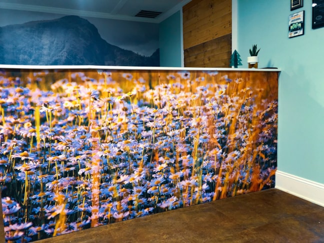 Custom Graphics & Vinyl Decals