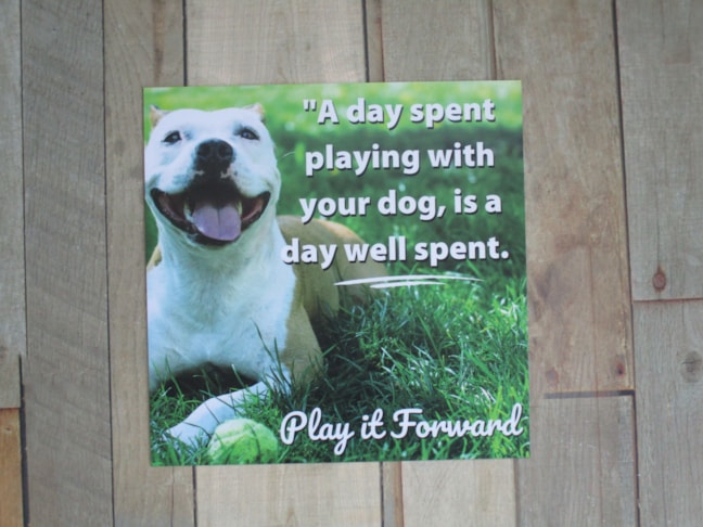 Greene County Parks & Trails | Dogs | Aluminum Signs | Exterior Signs | Government and Municipal Signs | Beavercreek, OH