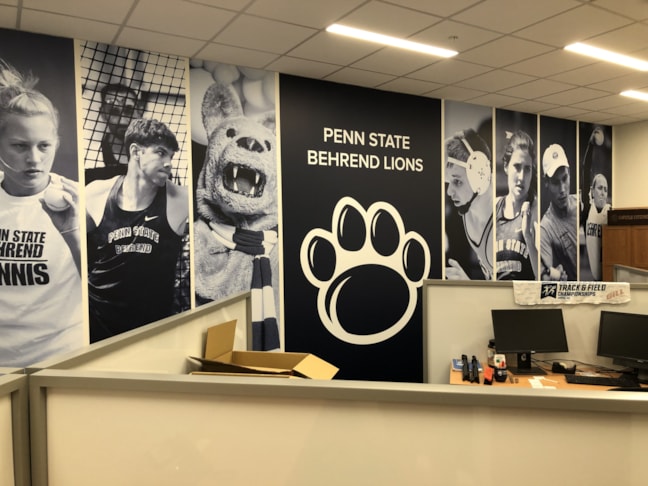 Wall Murals & Graphics Wall Murals & Graphics