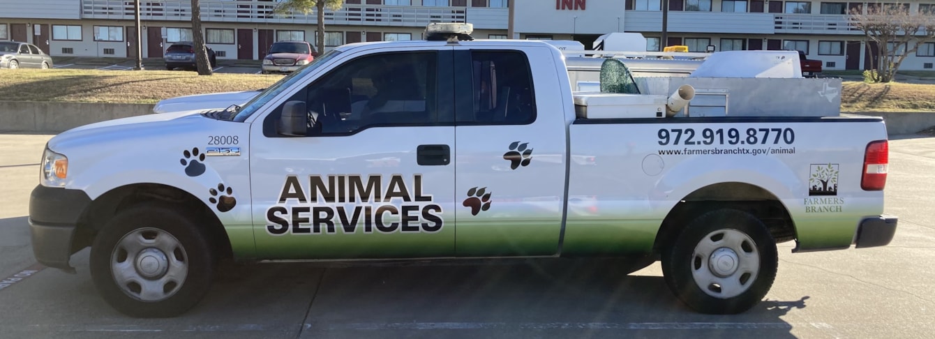 Vehicle Wraps in DFW