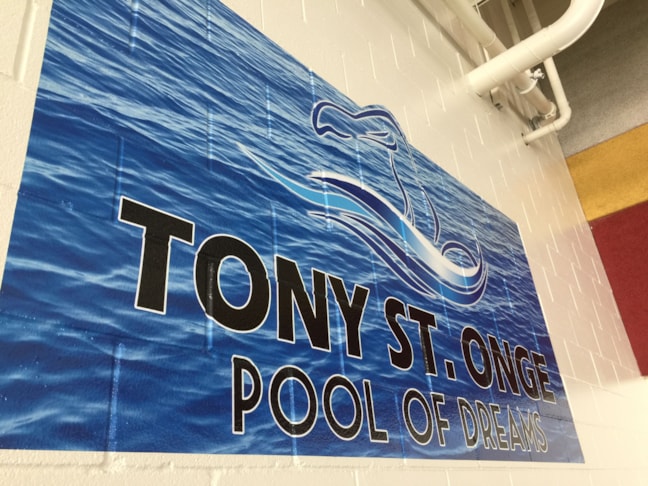 Wall Murals & Graphics