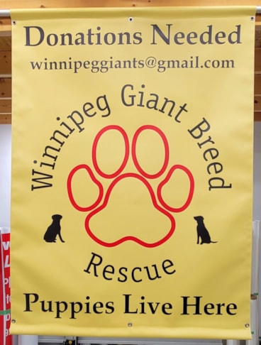 Vinyl Banners | Wiinipeg,MB | Vinyl