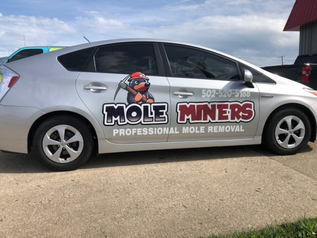 Vehicle Lettering in Louisville