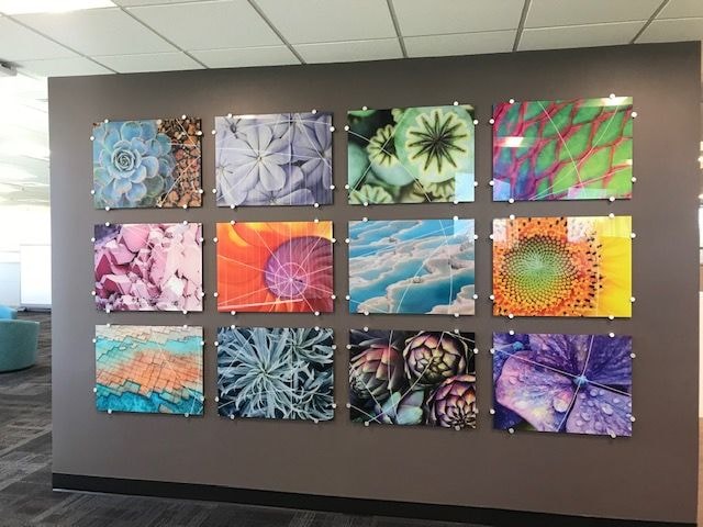 Wall Murals & Graphics