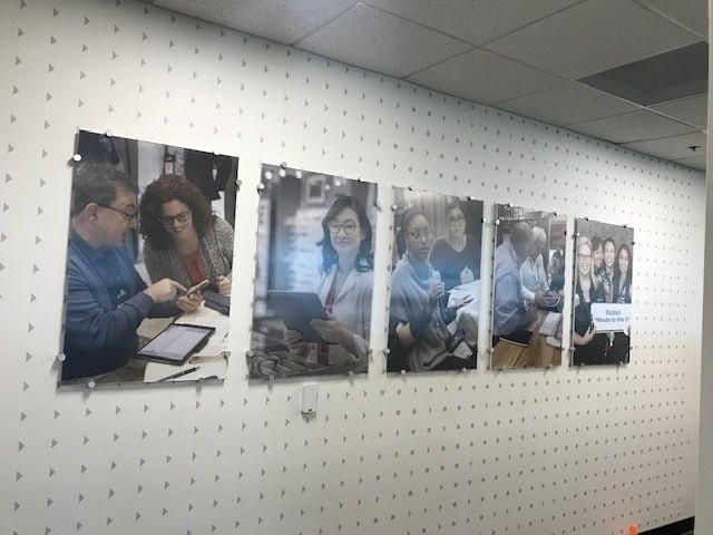 Wall Murals & Graphics