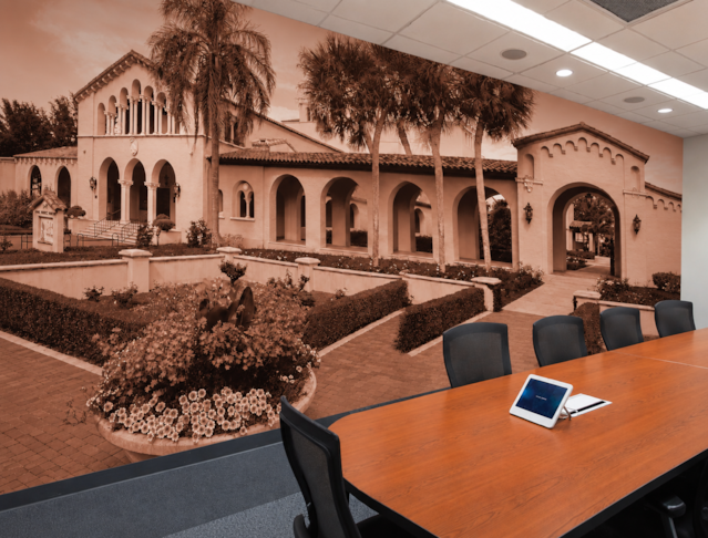 Wall Murals & Graphics