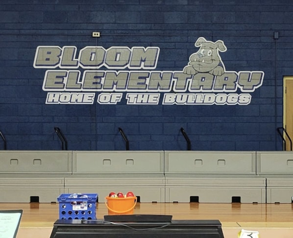 Wall Murals & Graphics