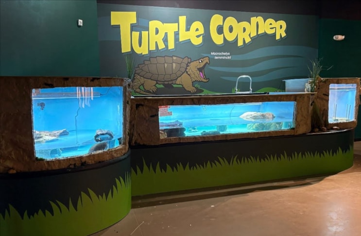 Wall Murals & Graphics