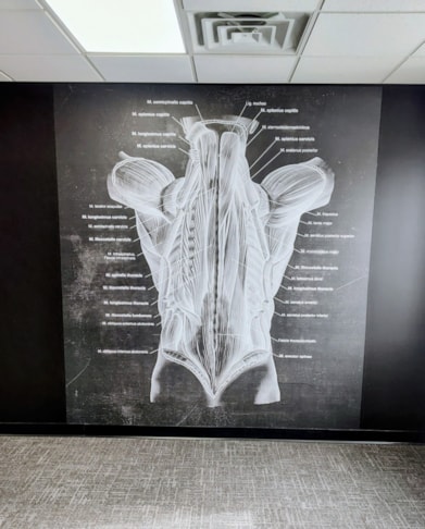 Wall Murals & Graphics