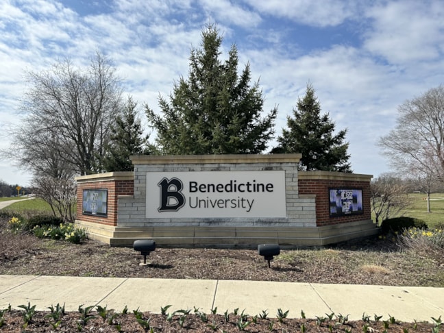 3D Signs & Dimensional Logos | Schools, Colleges & Universities Signs | Lisle | Aluminum