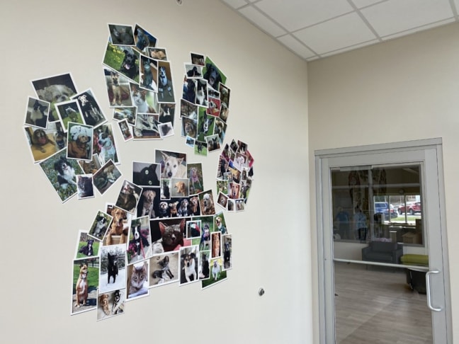 Custom Graphics & Vinyl Decals