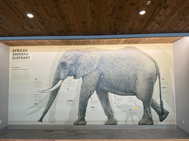 Wall Murals & Graphics Wall Murals & Graphics
