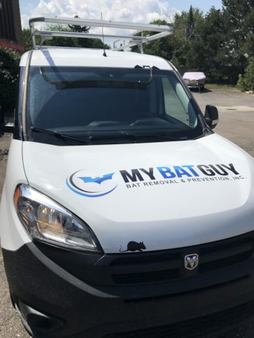 Vehicle Wraps in Waterford