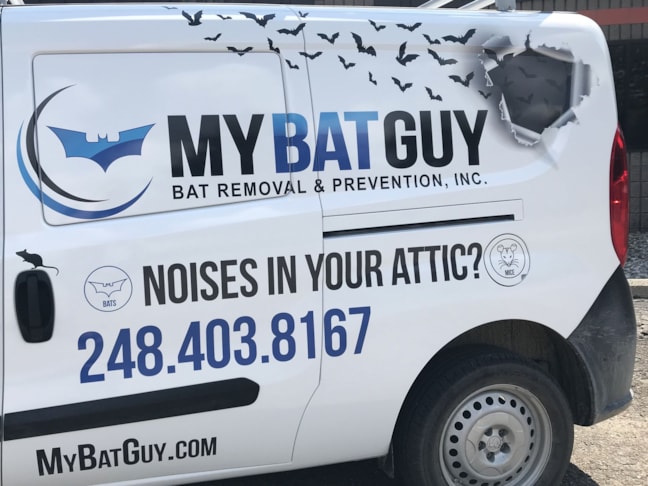 Vehicle Wraps in Waterford