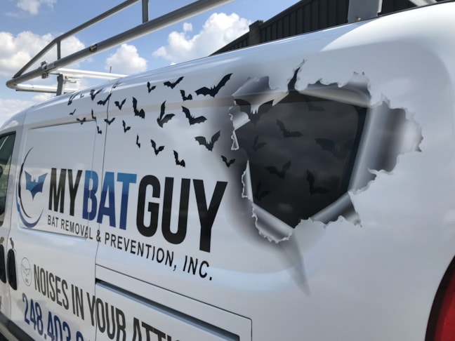 Vehicle Wraps in Waterford