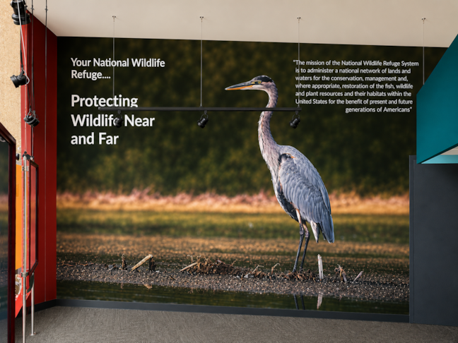 Wall Murals & Graphics Wall Murals & Graphics