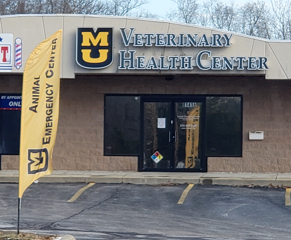 Channel Letters in Gladstone Channel Letters in Gladstone