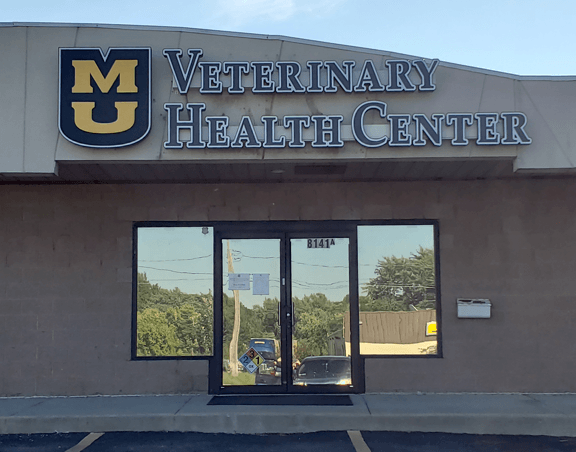 Channel Letters in Gladstone Channel Letters in Gladstone