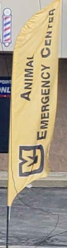 Feather Flag for MU Emergency Vet here in Kansas City MO Feather Flag for MU Emergency Vet here in Kansas City MO