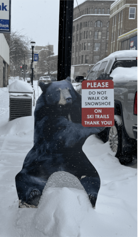 Freestanding Signs and Cutouts