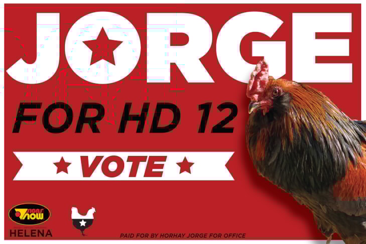 Political Campaign Signs | Government and Municipal Signs | Helena, MT | Corrugated Plastic / CoroplastTM