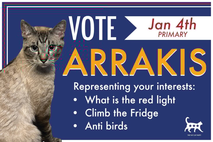 Political Campaign Signs | Government and Municipal Signs | Helena, MT | Corrugated Plastic / CoroplastTM