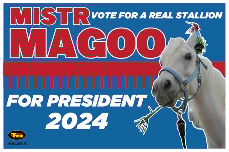 Political Campaign Signs | Government and Municipal Signs | Helena, MT | Corrugated Plastic / CoroplastTM