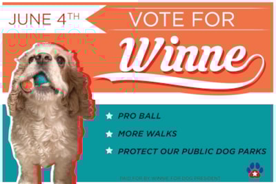 Don't Let Your Campaign Go to the Dogs: Elevate Your Visibility with Signs Now!