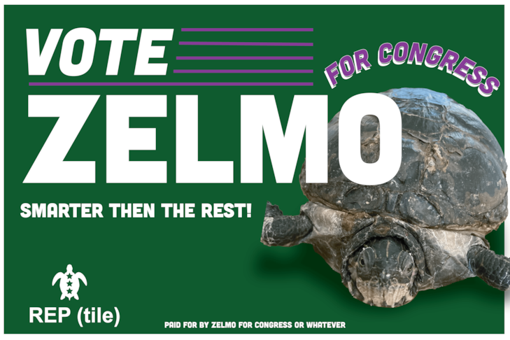 Political Campaign Signs | Government and Municipal Signs | Helena, MT | Corrugated Plastic / CoroplastTM